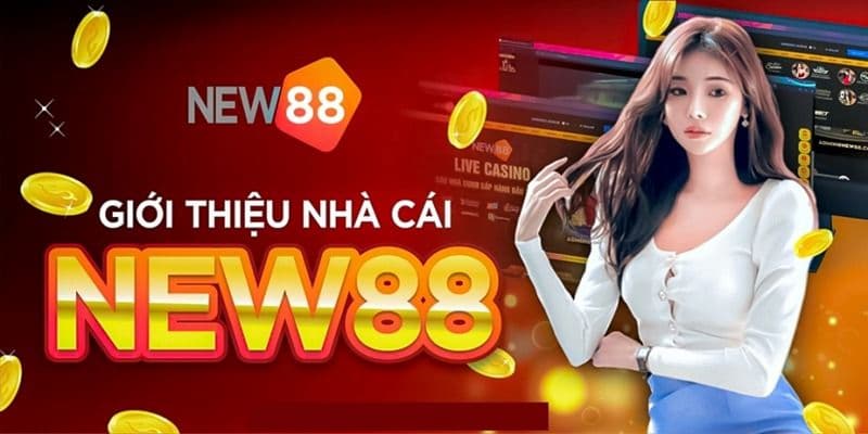 New88 New88 luôn bảo mật và công bằng